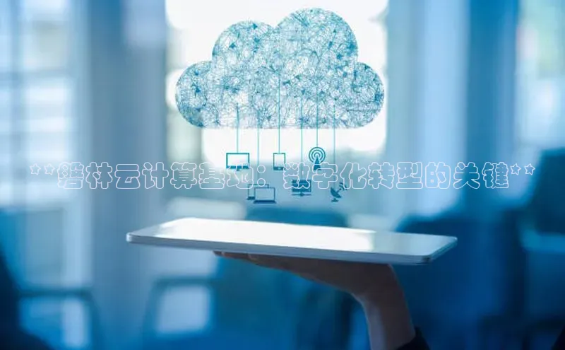 杏鑫平台注册入口慧博云通**磐林云计算基地：数字化转型的关键**