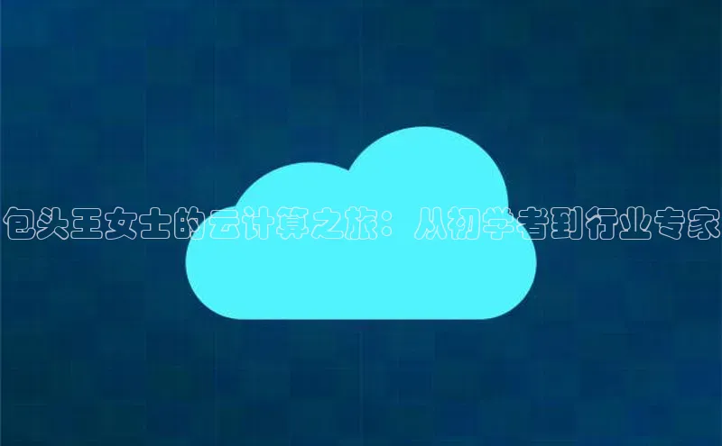 杏鑫是正规彩票平台吗百度翻译包头王女士的云计算之旅：从初学者到行业专家
